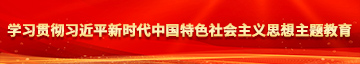 的爆操白虎中出啊啊啊的学习贯彻习近平新时代中国特色社会主义思想主题教育