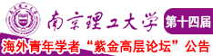 和美女日BB南京理工大学第十四届海外青年学者紫金论坛诚邀海内外英才！